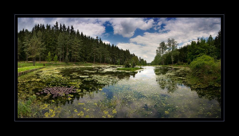 Frühling am Teich