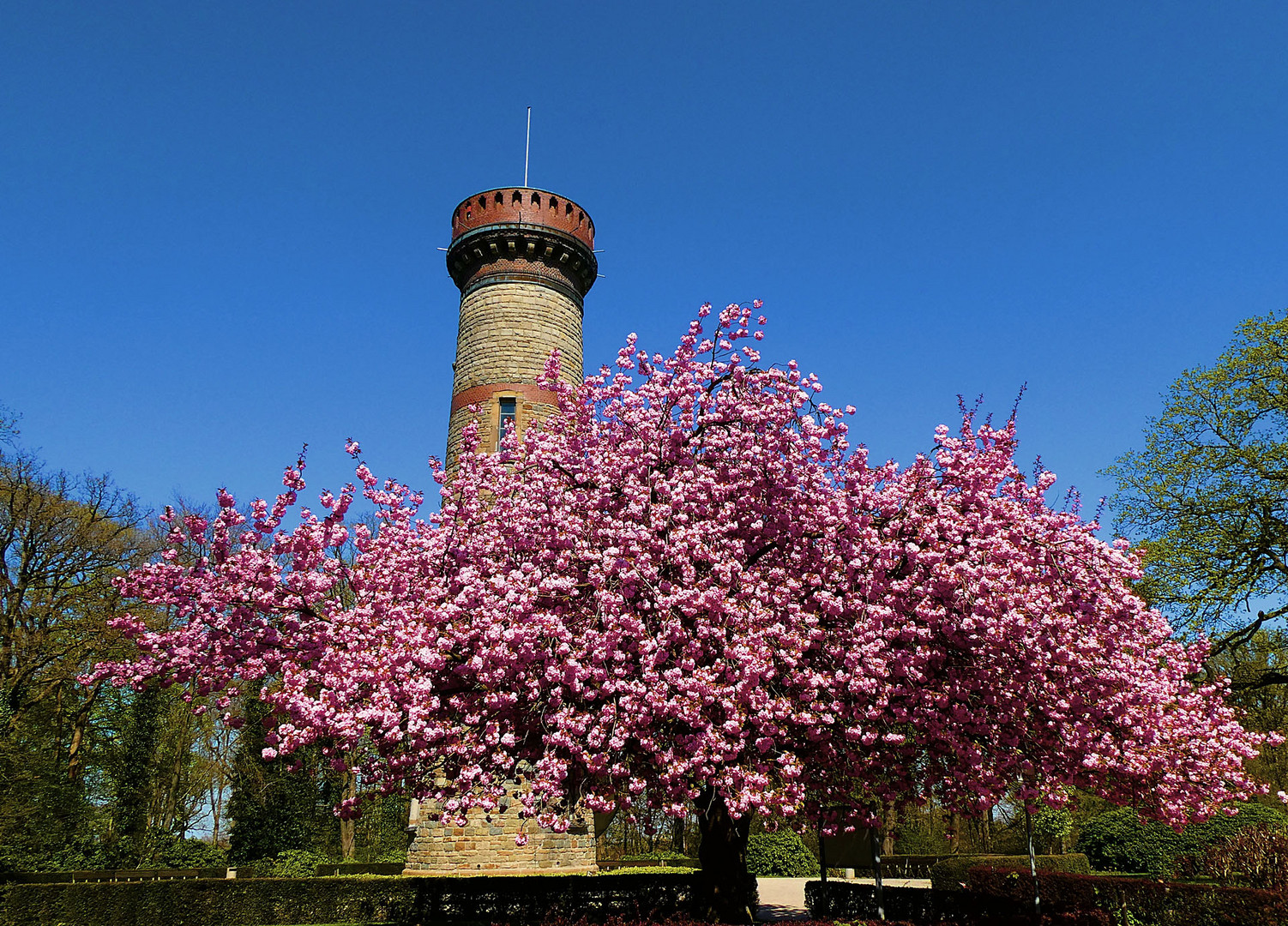 Frühling am Toelleturm