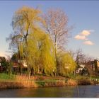 Frühling am Ufer des Flusses