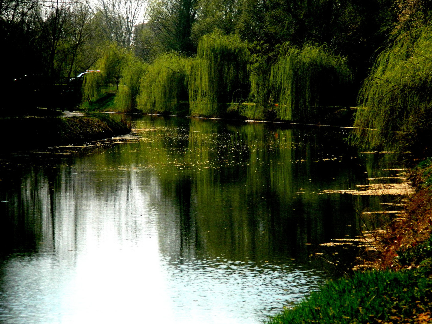 Frühling am Ufer des Flusses III.