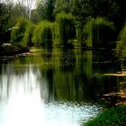 Frühling am Ufer des Flusses III.