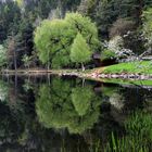 Frühling am Vahrner See