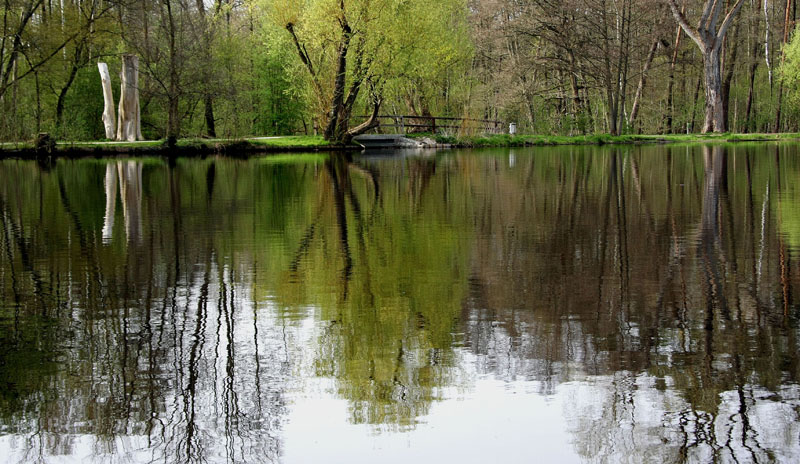 Frühling am Valznerweiher