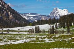 Frühling am Vilsalpsee