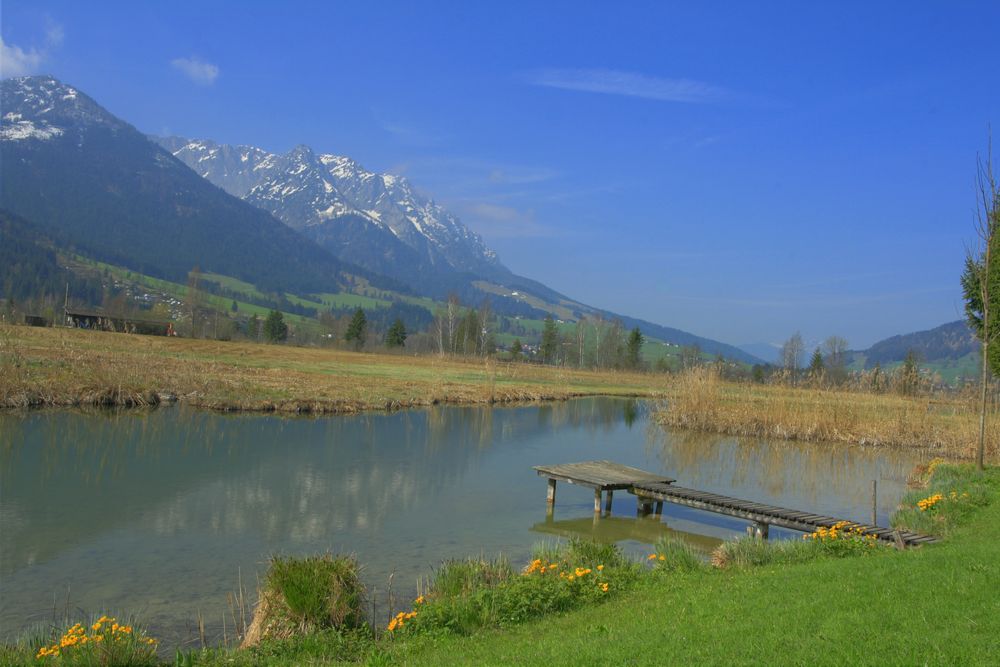 Frühling am Walchsee. (Tirol)