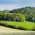 Frühling am Waldnerturm bei Hemsbach 2016