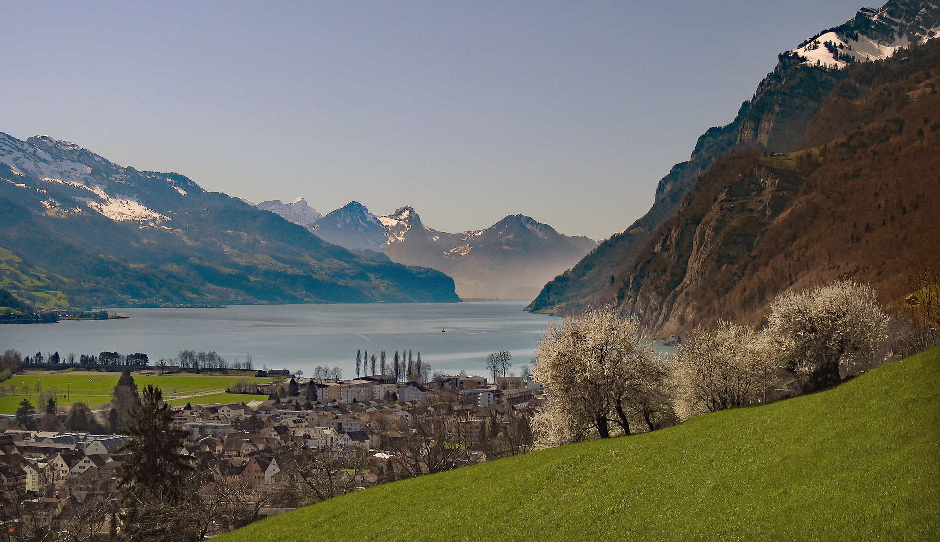 Frühling am Walensee