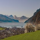 Frühling am Walensee