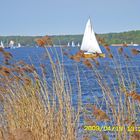 Frühling am Wannsee