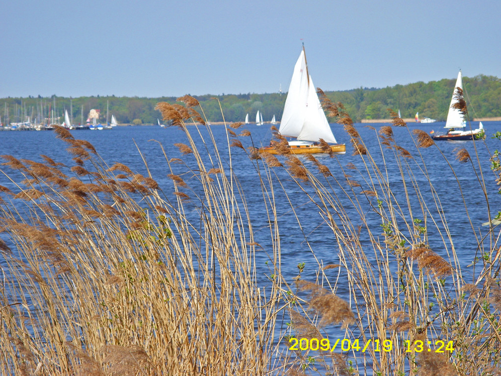 Frühling am Wannsee