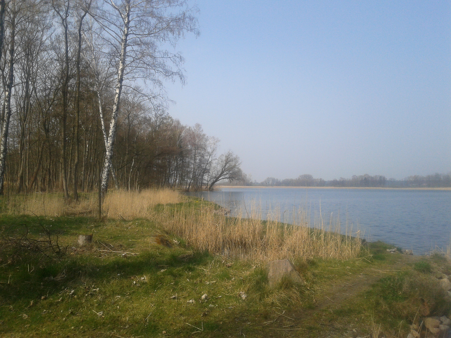 Frühling am Wasser