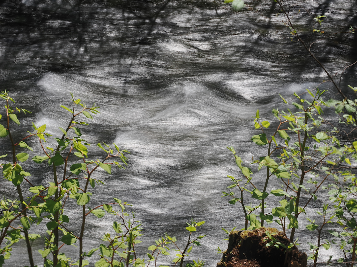 Frühling am Wasser