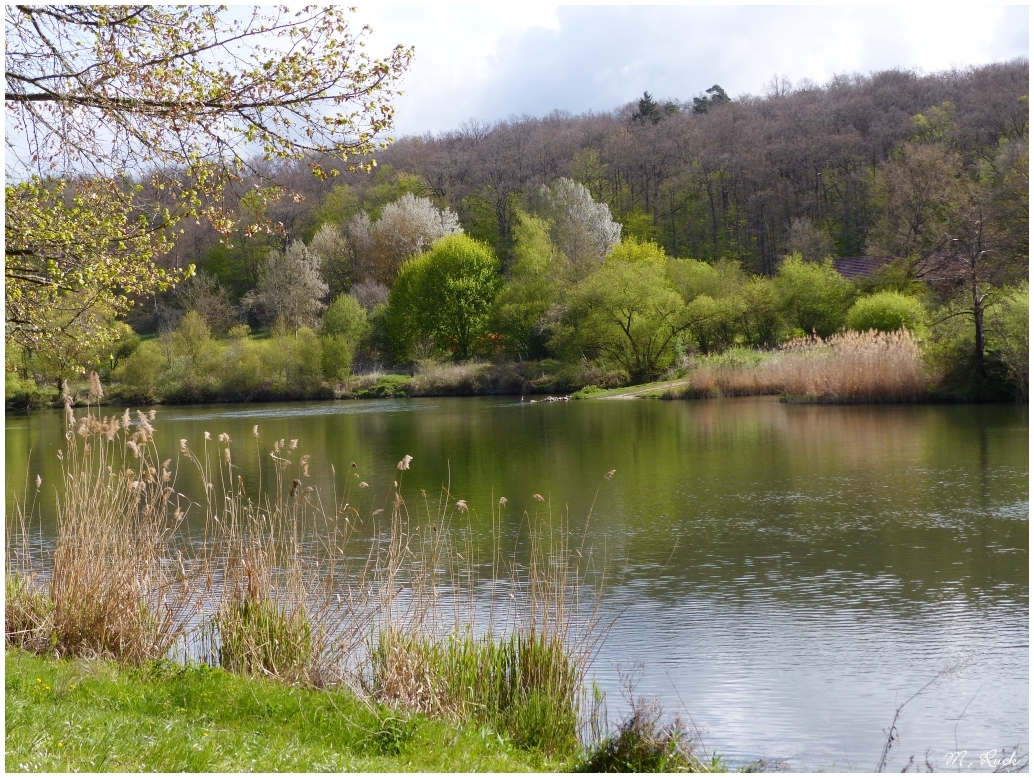 Frühling am Wasser ,