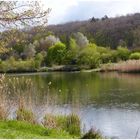 Frühling am Wasser ,