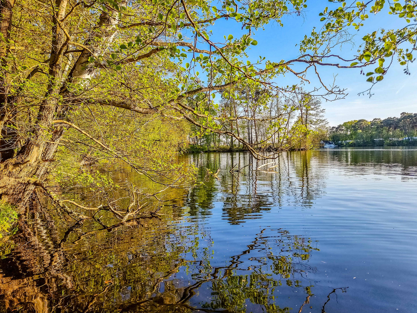 Frühling am Wasser