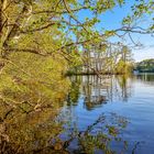 Frühling am Wasser