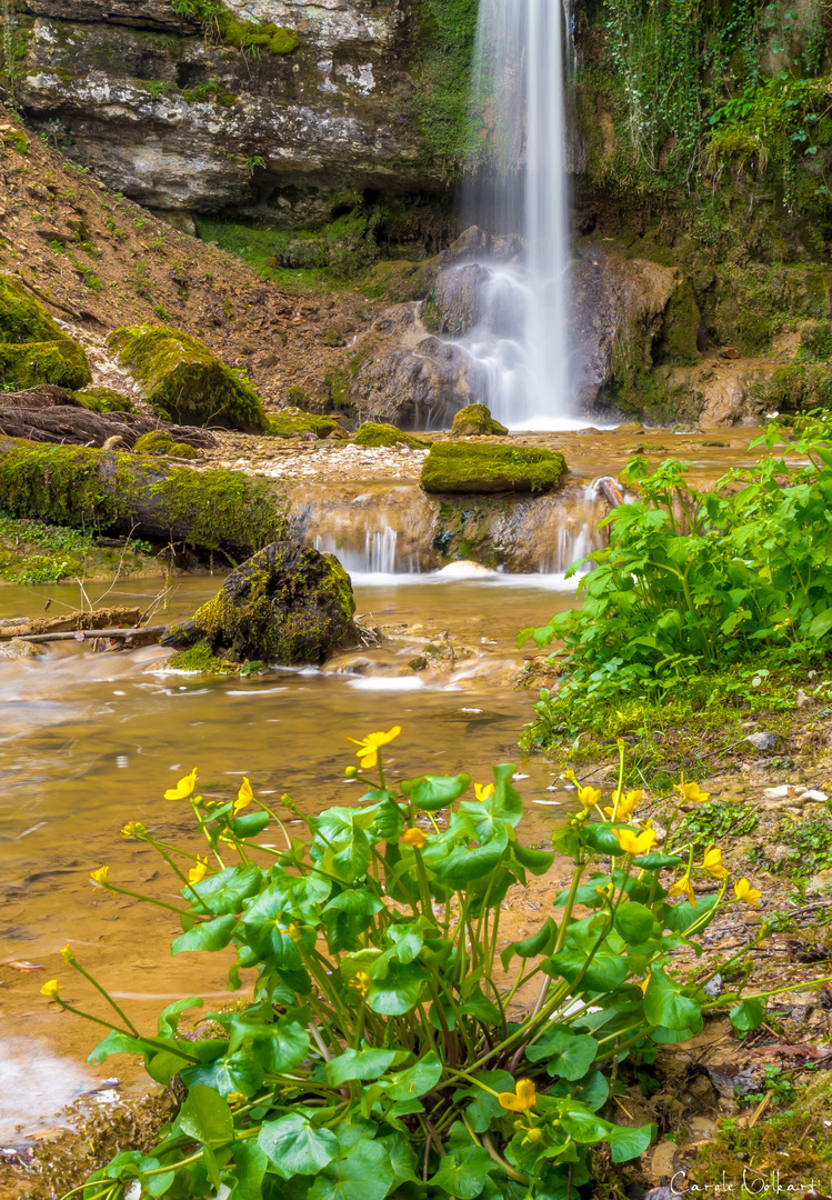 Frühling am Wasserfall