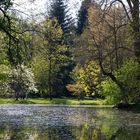 Frühling am Weiher