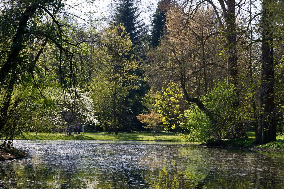 Frühling am Weiher von Jürgen Wöhlke 