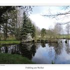 Frühling am Weiher