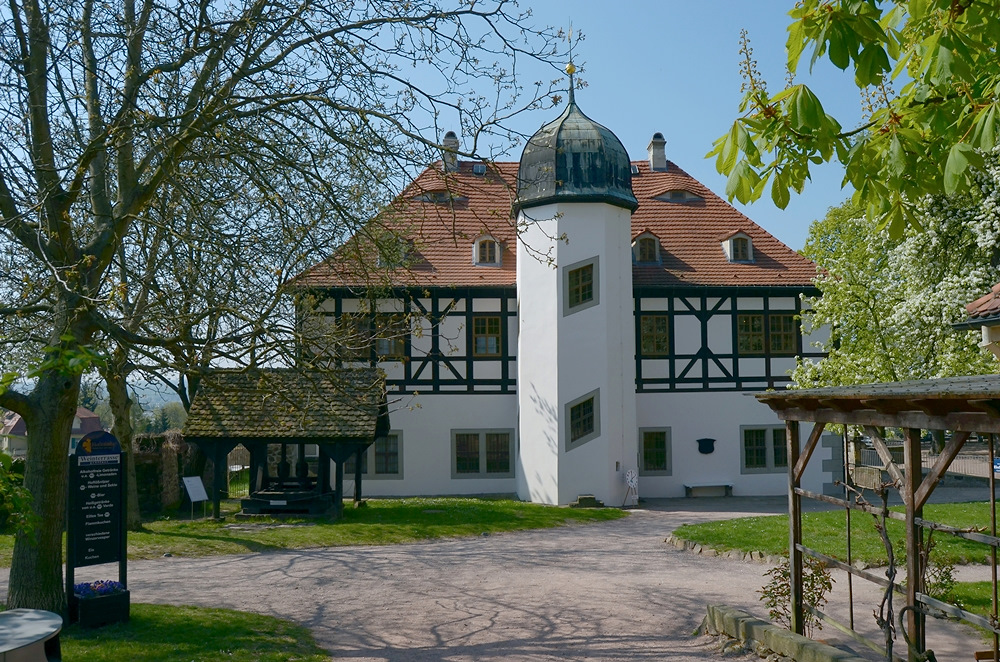 Frühling am Weinberg...