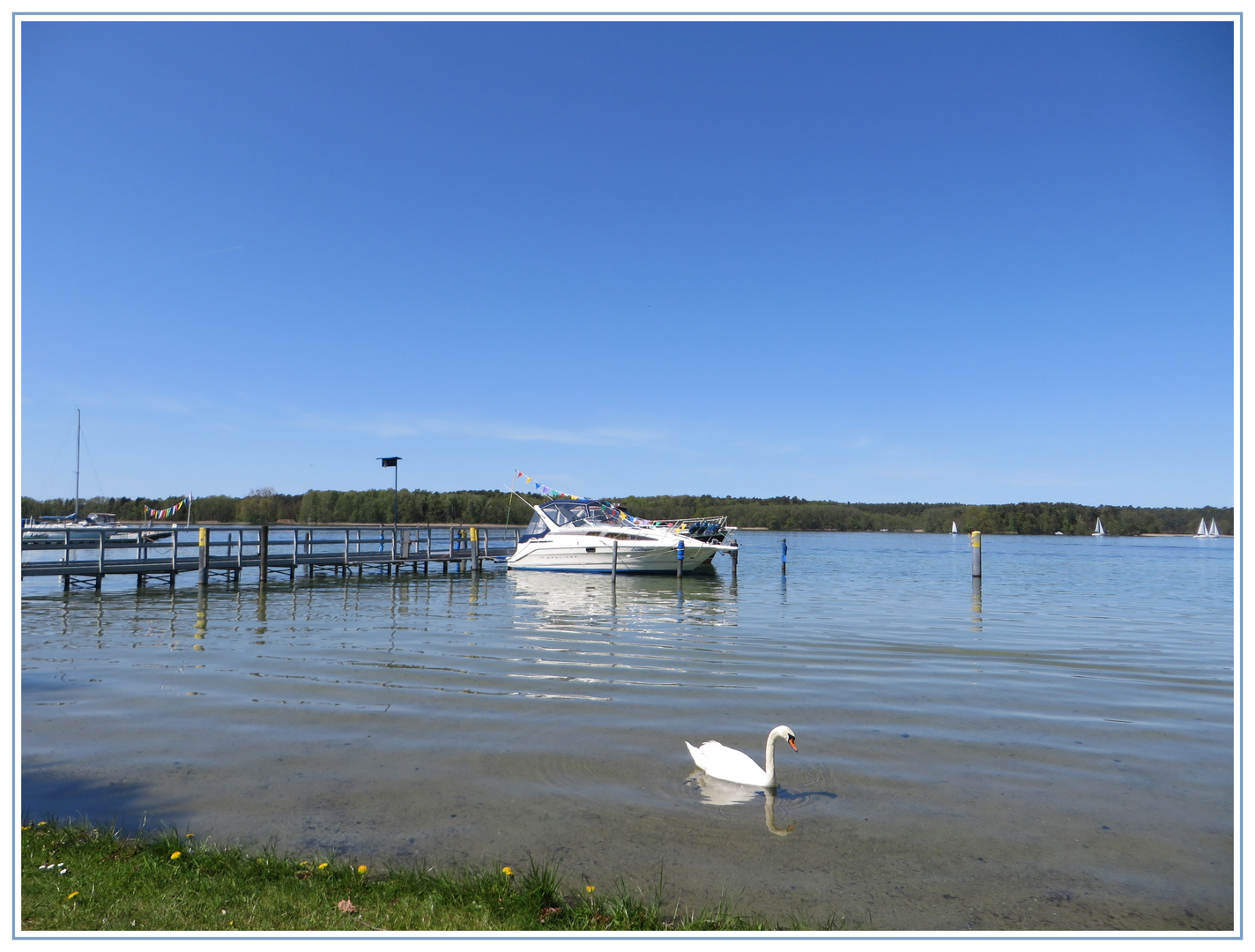 Frühling am Werbellinsee 