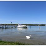 Frühling am Werbellinsee 