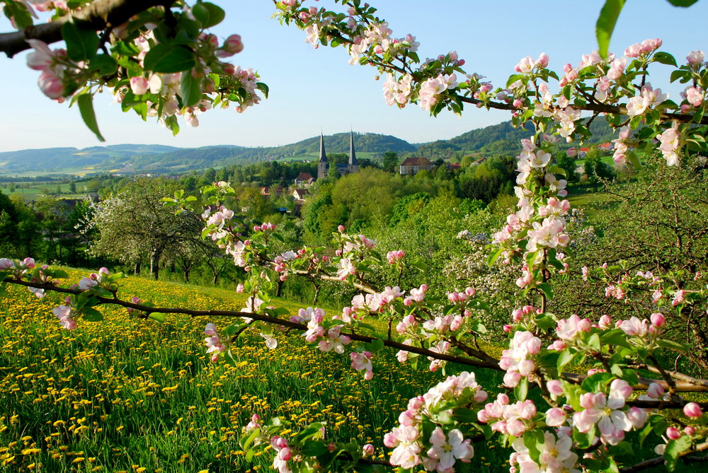 Frühling am Westrand des Fichtelgebirges