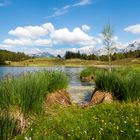 Frühling am Wildensee