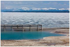 Frühling am Yellowstone Lake