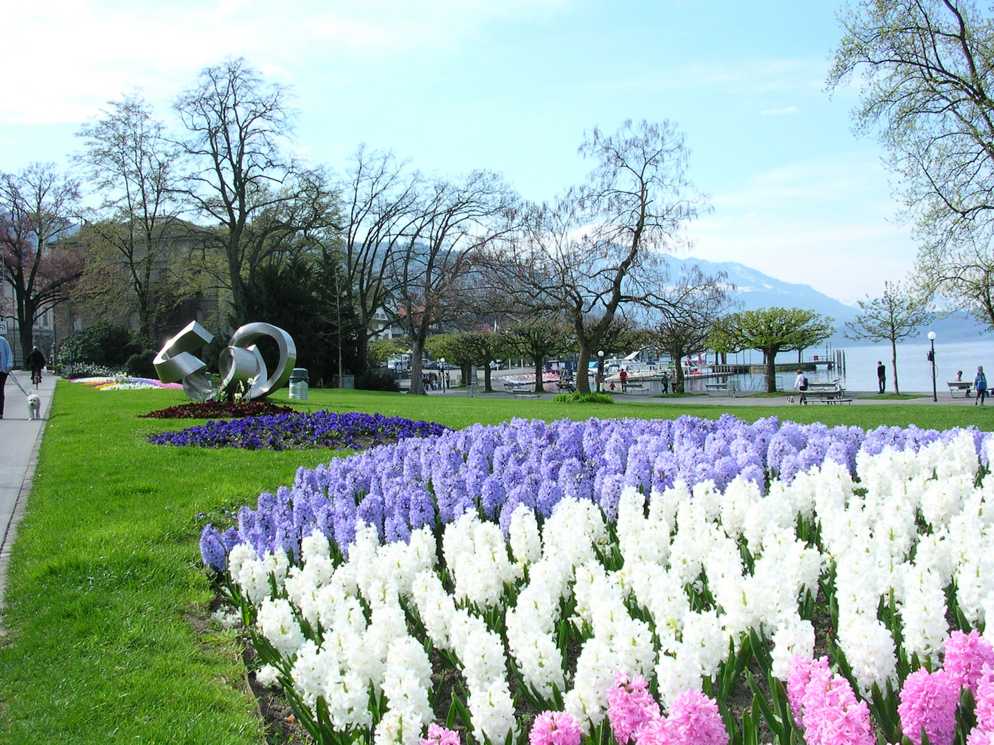 Frühling am Zugersee