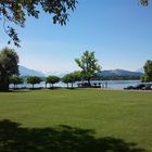 Frühling am Zugersee in Cham