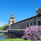 Frühling am Zwinger in Dresden