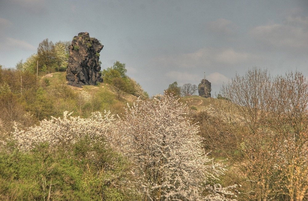 Frühling an den Gegensteinen