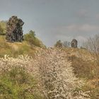 Frühling an den Gegensteinen