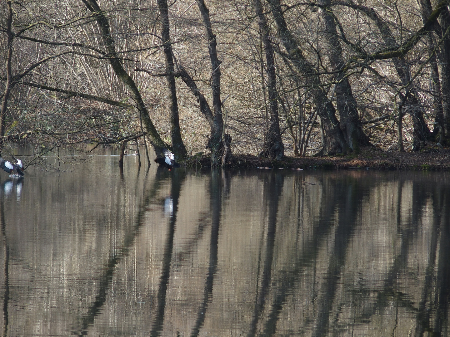 Frühling an den Kuhlen 3