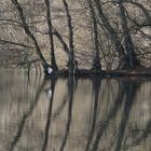 Frühling an den Kuhlen 3