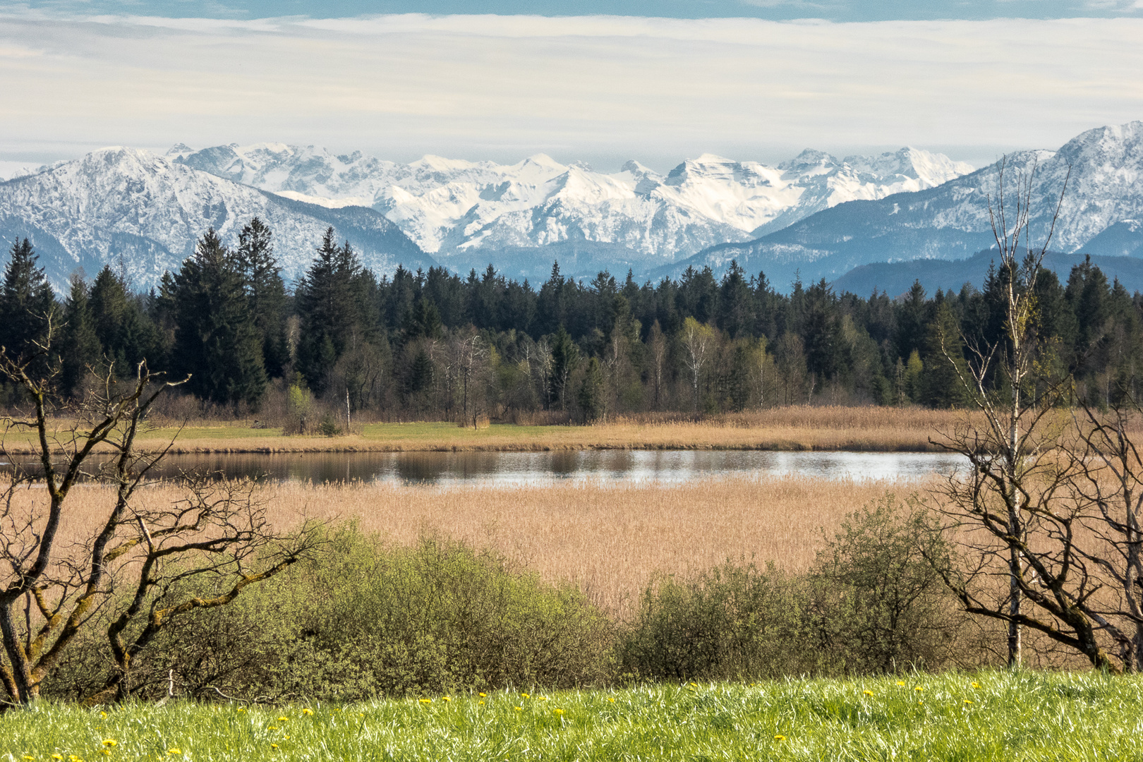 Frühling an den Osterseen (2)