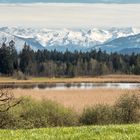 Frühling an den Osterseen (2)