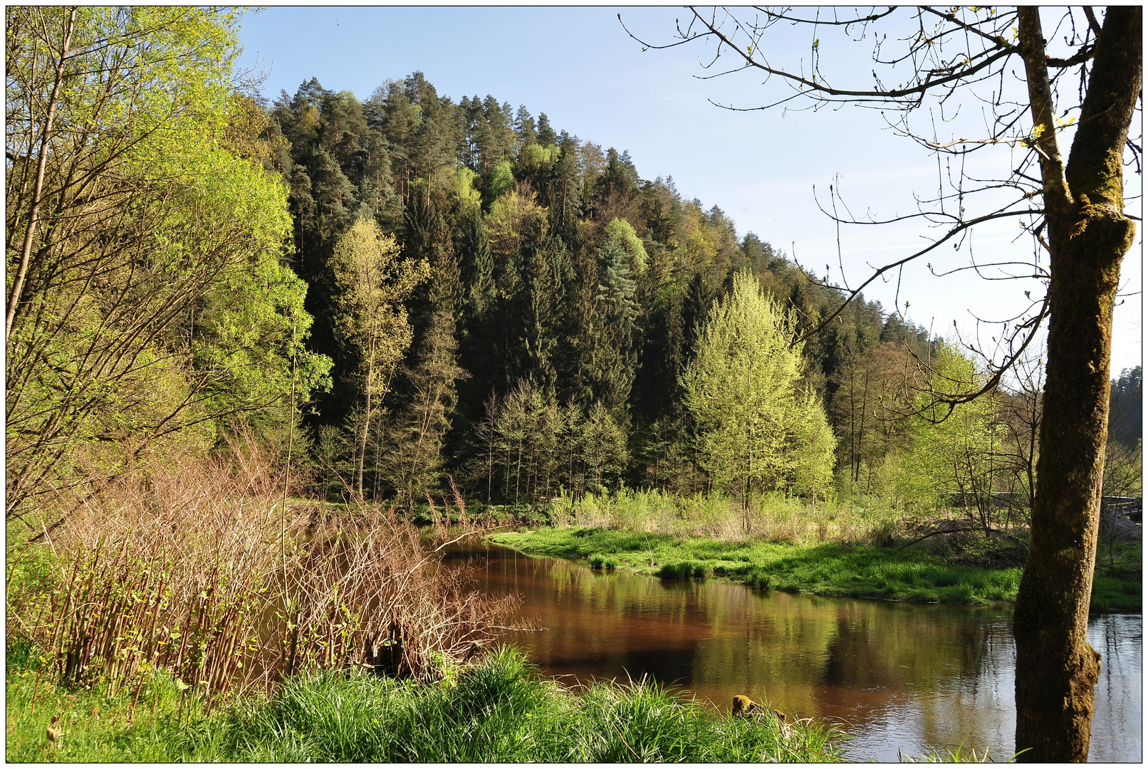 Frühling an der Aist