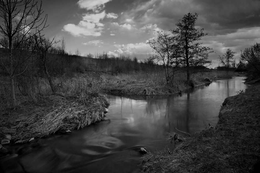 Frühling an der Aitrach