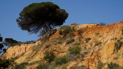 Frühling an der Algarve