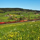 Frühling an der Allgäubahn (II)