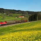 Frühling an der Allgäubahn (III)