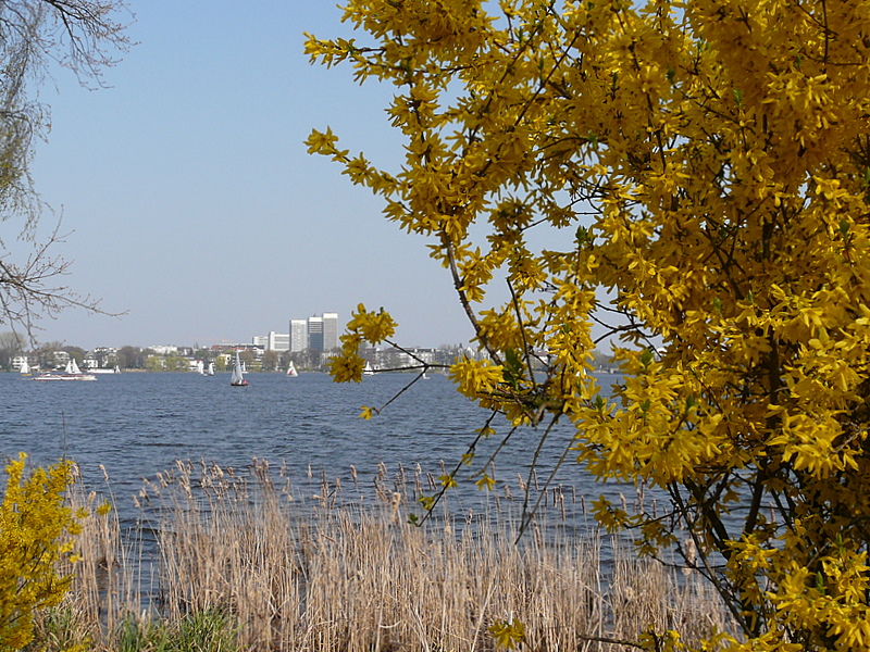 Frühling an der Alster 2