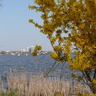 Frühling an der Alster 2