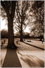 Frühling an der Alster