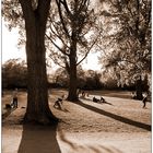 Frühling an der Alster