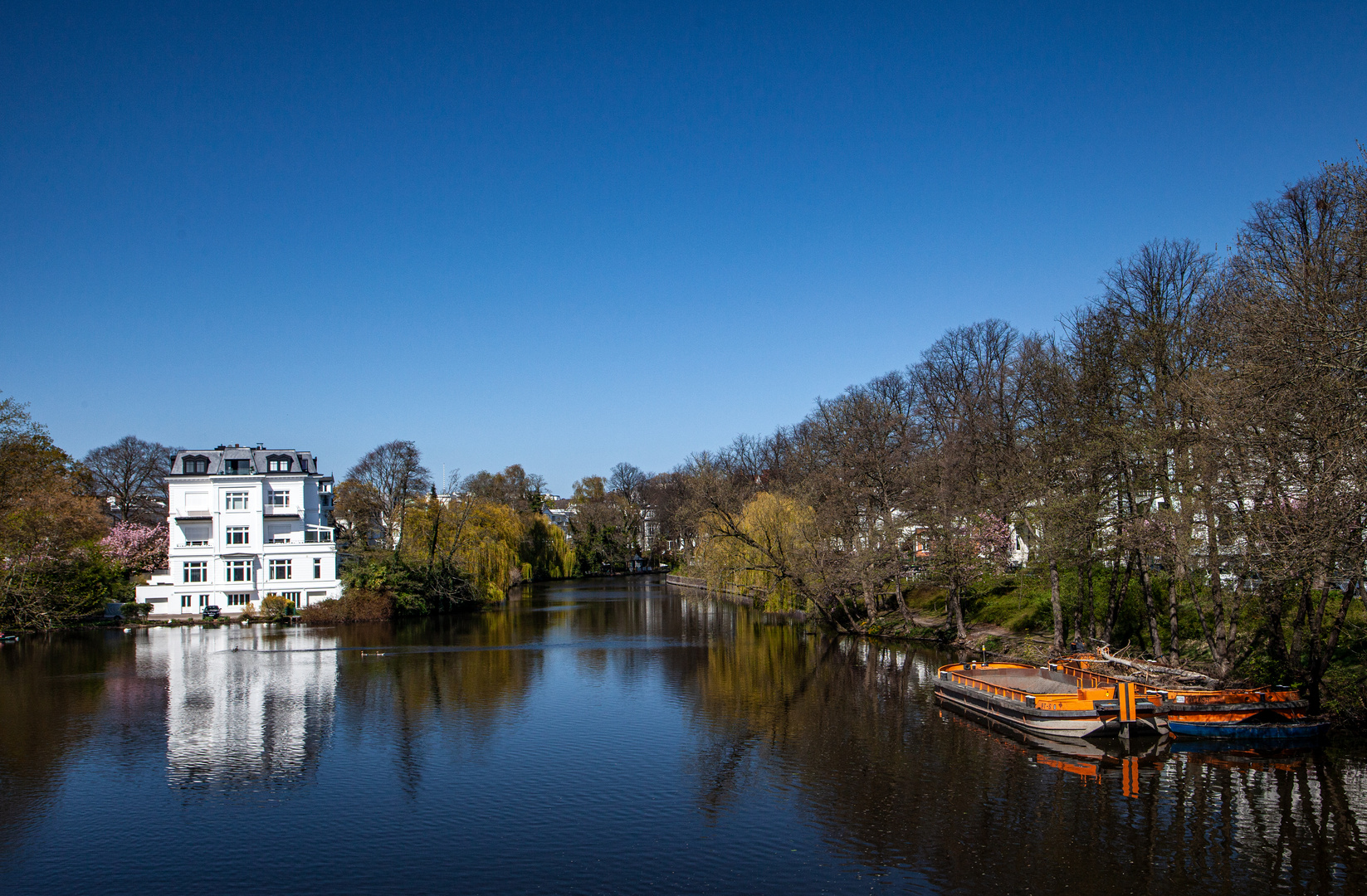 Frühling an der Alster