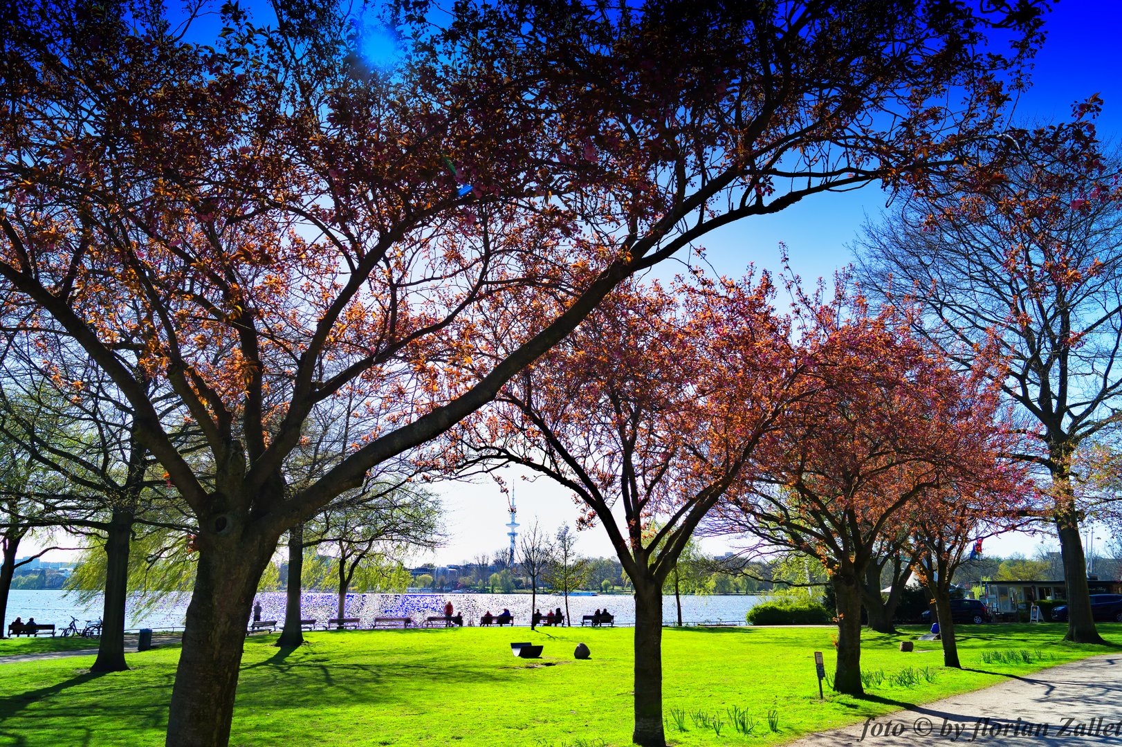 Frühling an der Alster